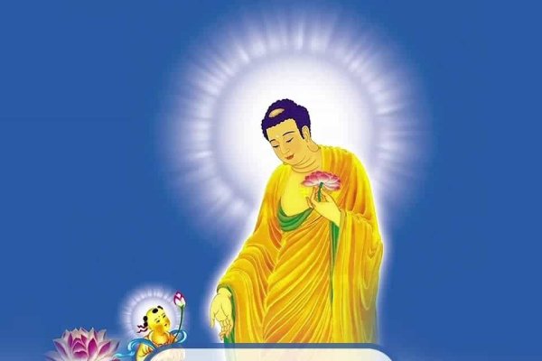 墓地风水知识全解析-新乐天