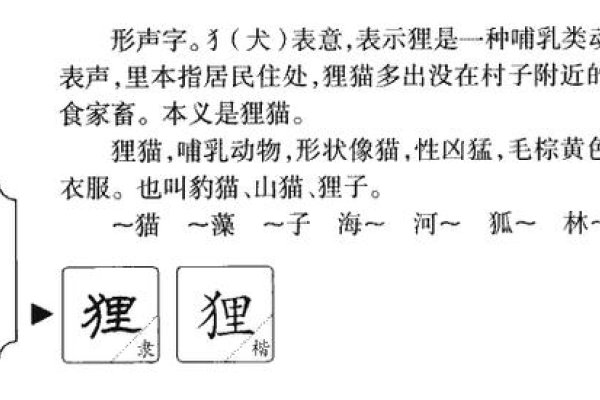 狸的拼音与奇妙组词探索-新乐天