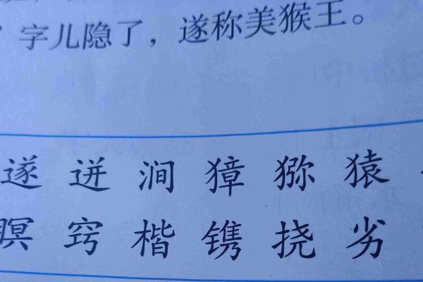 昆的拼音与组词探索-新乐天