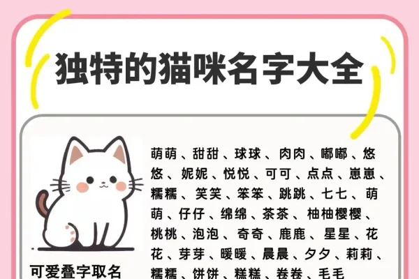 悦耳之名，打造独一无二的好听女号名字-新乐天