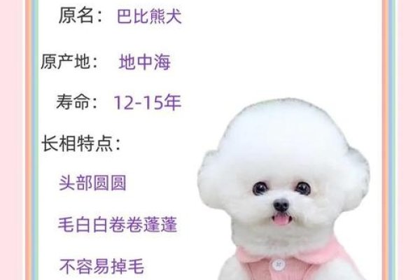 悦耳之名,为你的宠物挑选一个好听的昵称-新乐天