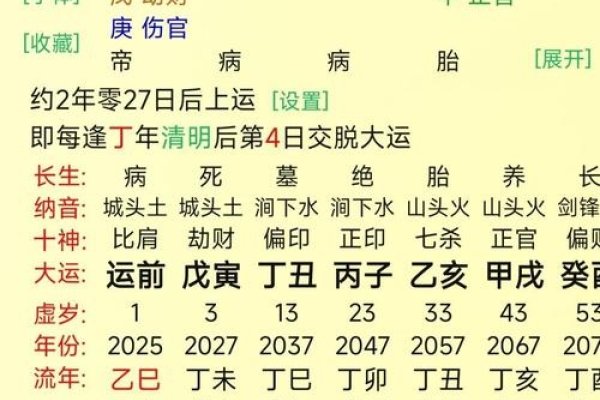 免费八字排盘,洞悉未来命运!-新乐天