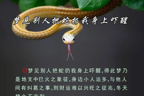孕妇梦见杀蛇，预示产子顺利与家庭幸福美满的吉祥之兆-新乐天