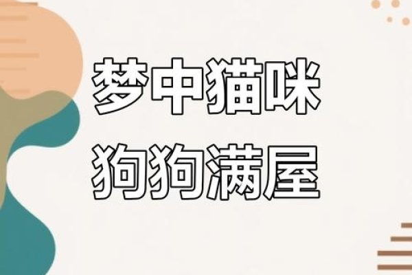 孕妇梦见猫和狗，寓意健康与生机-新乐天