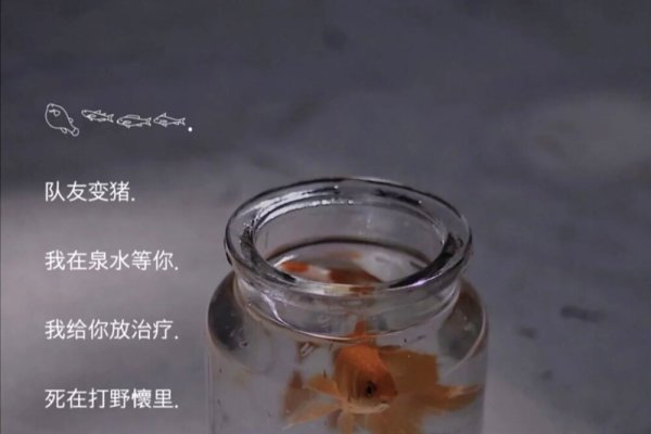 缤纷世界，女生专属可爱网名大全-新乐天