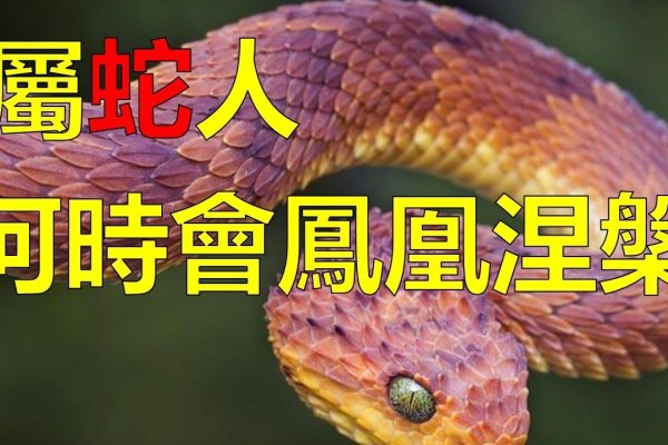 阴风四起猜一生肖—蛇-新乐天