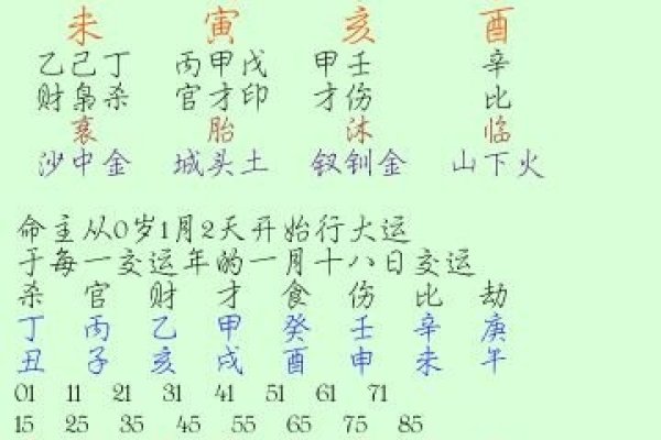 南方批八字软件，传统命理文化的现代演绎-新乐天
