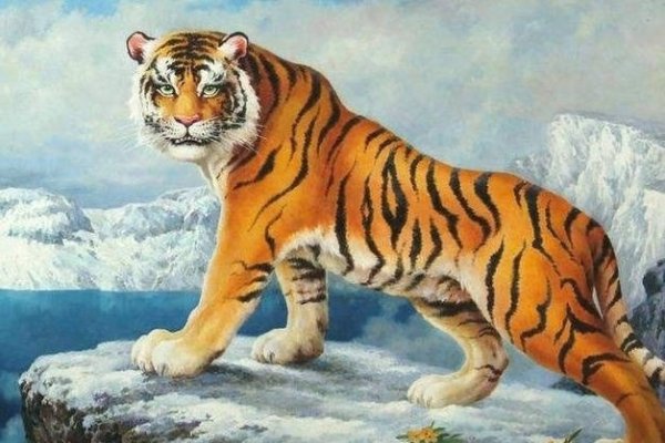 威风凛凛生肖探秘-新乐天