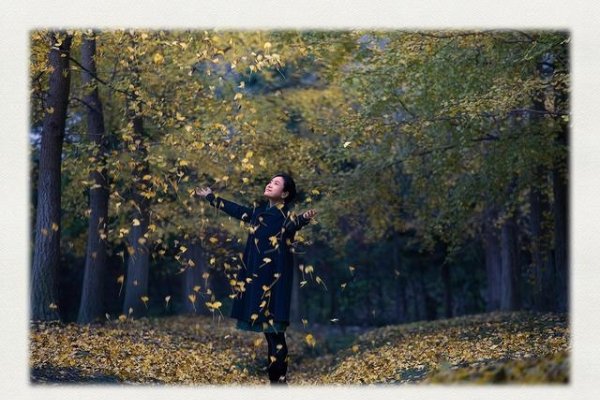 秋风秋雨生肖探秘-新乐天