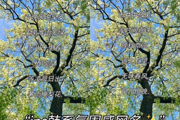 韩国风QQ网名，潮流与个性的完美融合-新乐天