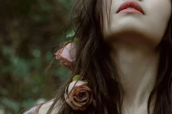 伤感头像与网名，心灵在无声中生长-新乐天