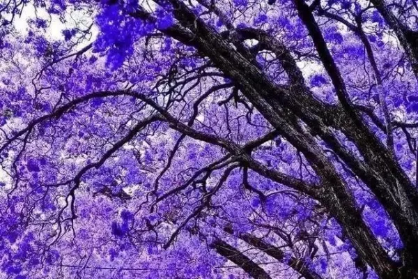 伤感网名背后的故事，在虚拟中寻找慰藉-新乐天