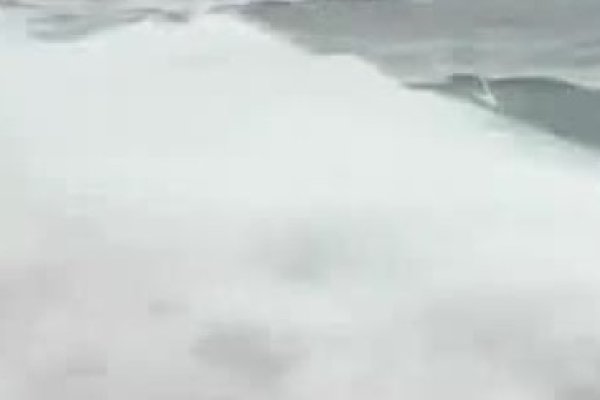 碧海青天生肖探秘-新乐天