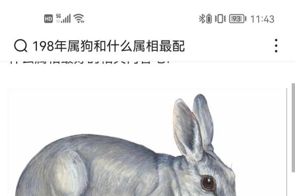 狗和兔配对吗？解析其潜在价值与潜在风险-新乐天