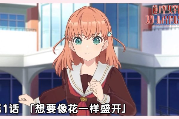 莲花小王子，夜空中绽放的生命之美-新乐天