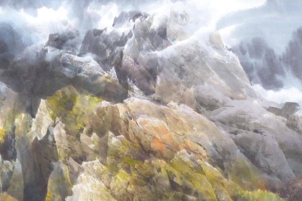 骑虎难下的生肖—虎-新乐天