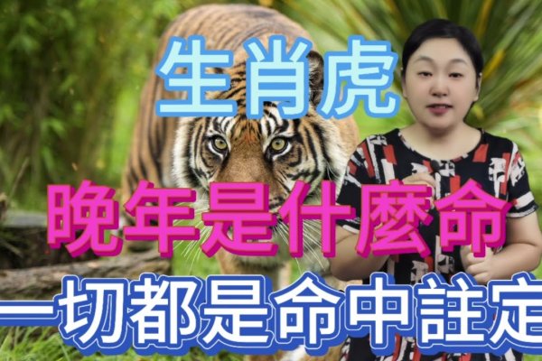 骑虎难下生肖揭秘-新乐天