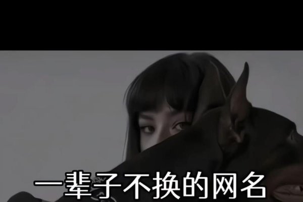 适合永久做的昵称推荐-新乐天