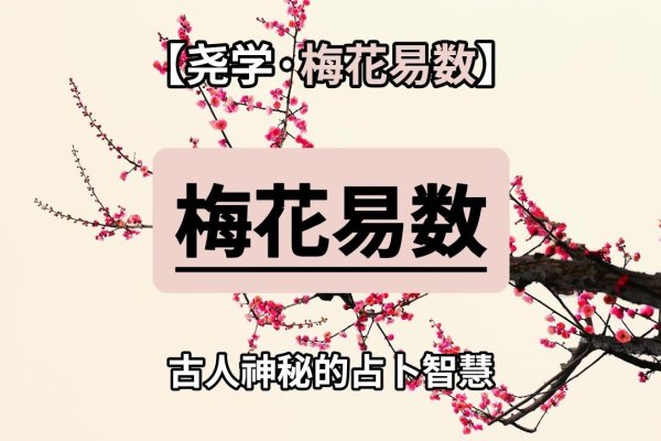 梅花易数排盘，精准预测运势的神秘密码-新乐天