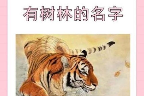 属虎者的山水林之韵—探寻有山有水有树林的名字-新乐天