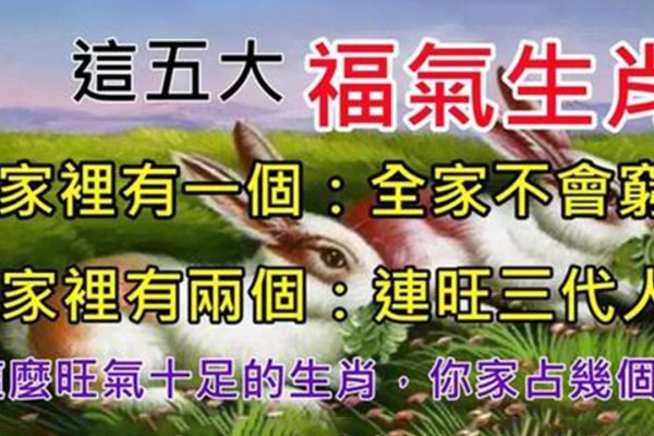 小家子气与生肖的微妙关系-新乐天