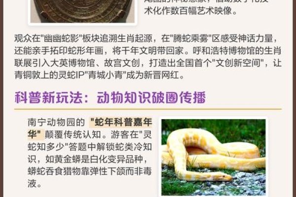 盛况空前生肖揭秘-新乐天