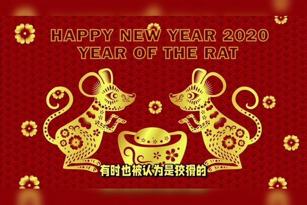 碧空如洗，揭示生肖之谜-新乐天