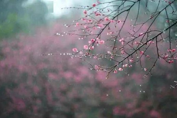 阴历初几阴雨绵绵，一场无声的诗意邂逅-新乐天