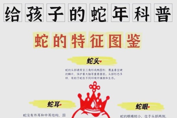 绵流长是蛇的生肖特征-新乐天