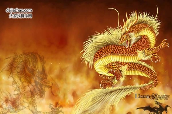 属龙人在2019年的运势展望-新乐天