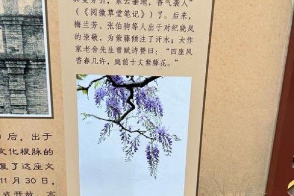 梅林，传统文化的古老密码，解码梅林背后所蕴含的文化密码-新乐天