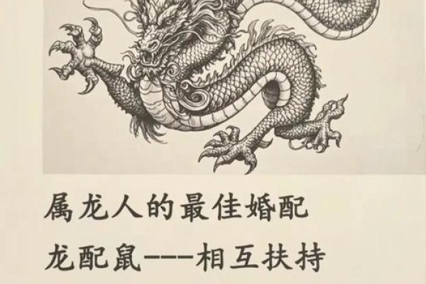 属龙最配相合之佳侣-新乐天
