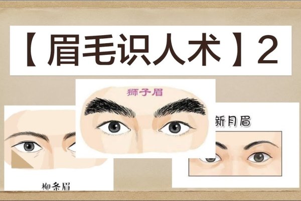 眉毛看相算命图解,揭示神秘的面部特征-新乐天