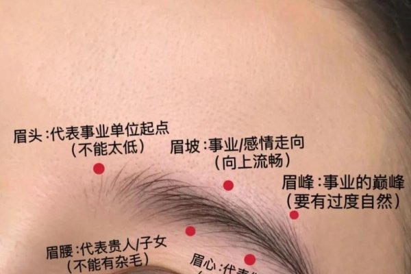 眉毛连在一起，探索面相学的奥秘与个人风格的新维度-新乐天