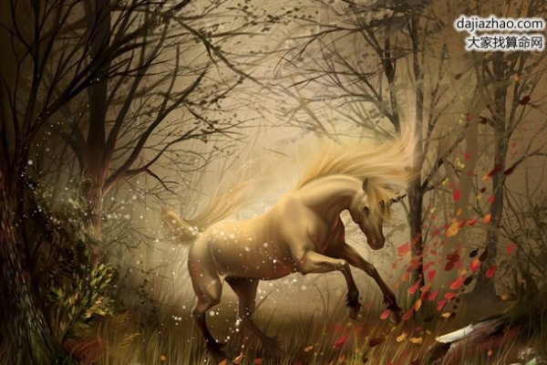 属马人在2019年的运势展望-新乐天