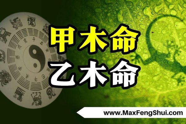 甲木生于戌月，秋末寒木的生机与挑战-新乐天
