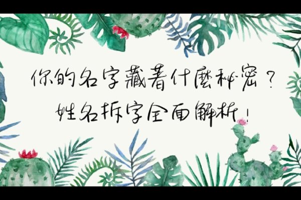 姓名测试评分，揭秘你名字背后的奥秘-新乐天