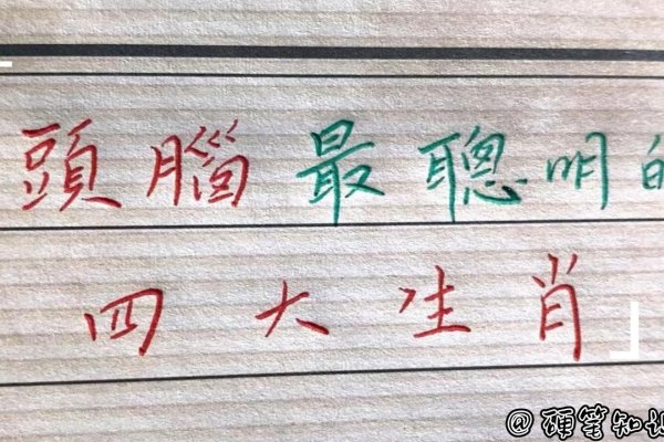 聪明伶俐的生肖—聪明才智的象征-新乐天