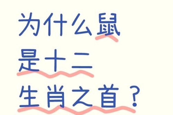 鼠年并非灾年，误解与真相-新乐天