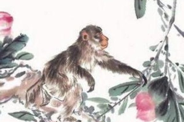 猴年出生的智慧与活力，探索属猴人的独特魅力-新乐天