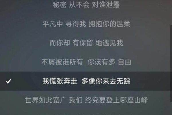 陪你到世界的终结—一首充满情感力量的歌词解读-新乐天