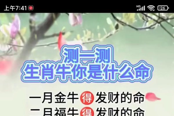 属牛人2019年运势展望-新乐天