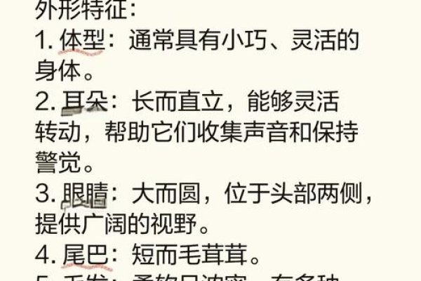 兔年特性与生肖特点-新乐天