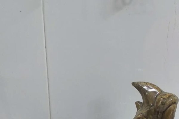 犀牛望月所指的生肖-新乐天