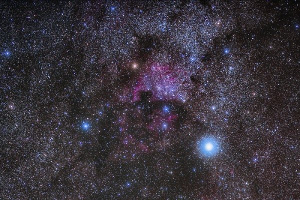 牵牛星星座介绍，天鹰座α星，银河东岸之星，亮度较织女稍暗。，天琴座最亮恒星，夏秋夜晚璀璨夺目。-新乐天