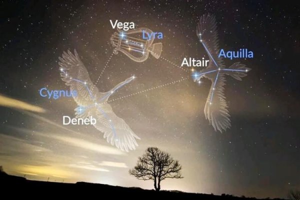 织女星与夏季夜空中的璀璨星座-新乐天