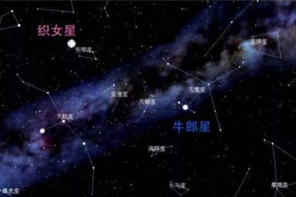 牵牛星在哪个星座-新乐天