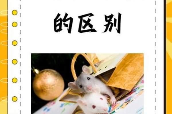 田内之鼠，一种文化象征与深层解读-新乐天