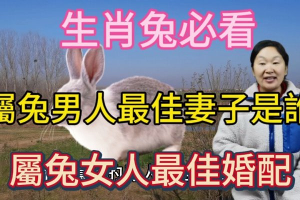兔女最佳婚配生肖，属鼠为最佳选择。-新乐天