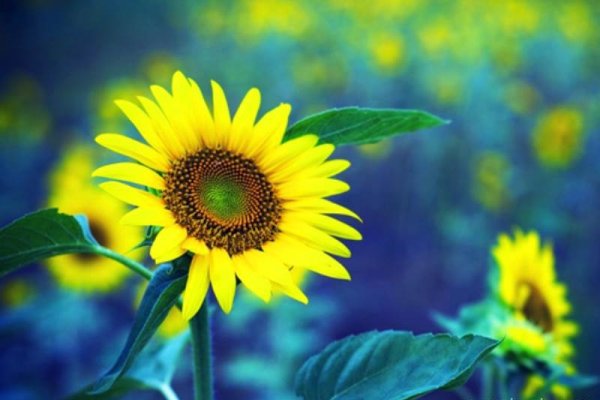 霸气好听的网名大全-新乐天